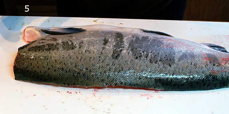 Knifestock BLOG - Kuinka fileoida lohi oikein