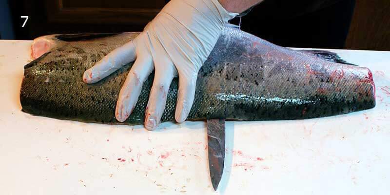 Knifestock BLOG - Kuinka fileoida lohi oikein